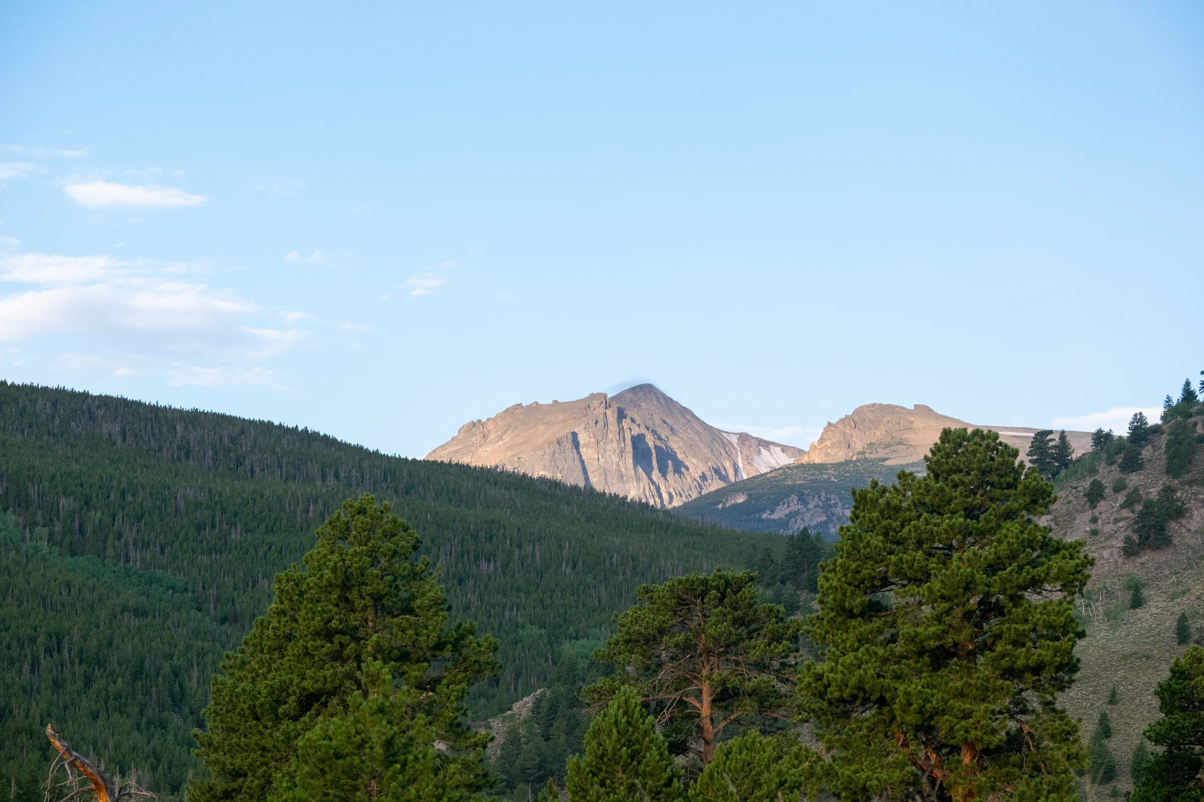 Granite mountains and pine forest under a clear blue sky.